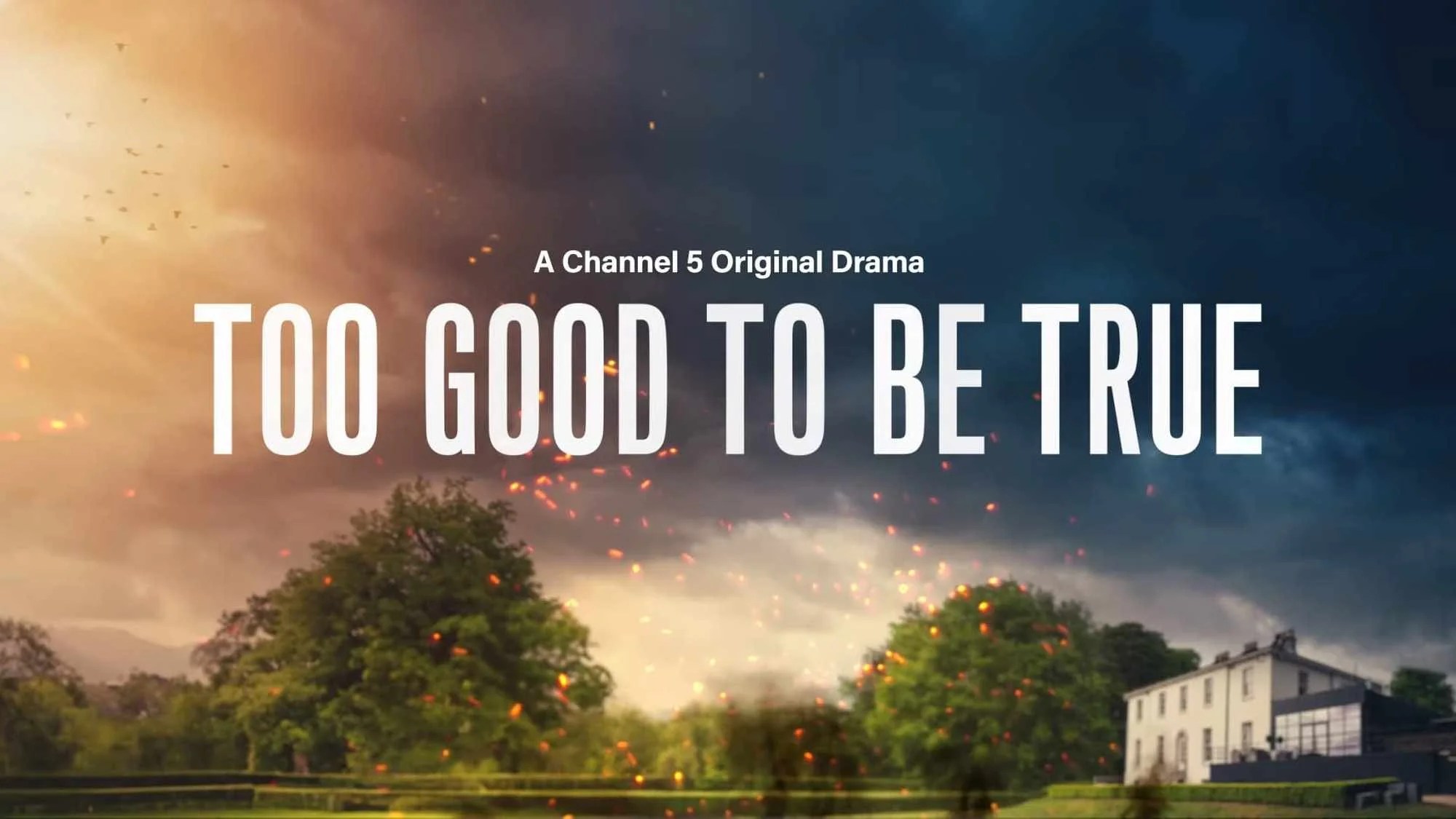 Too Good to Be True Poster