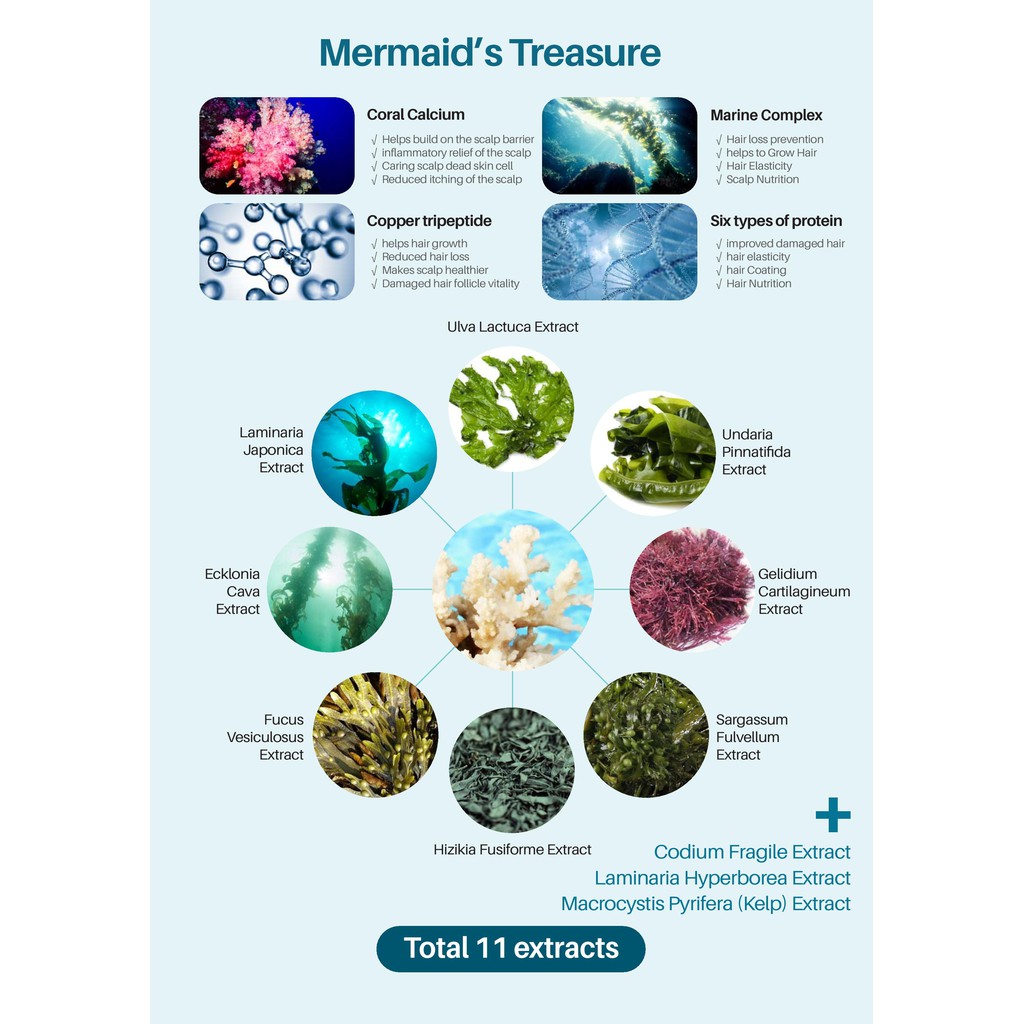 SMIB Anti Hair Loss Shampoo 500ML / coral calcium / Suitable for Oily