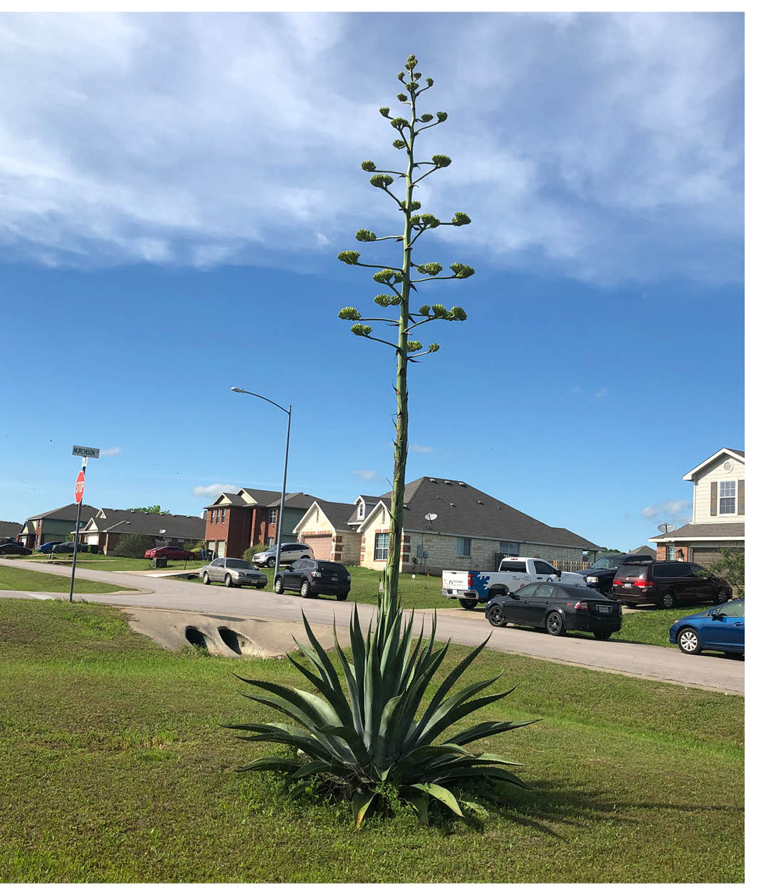 Stanberry Realtors® Bastrop Share Their Distancing Experiences