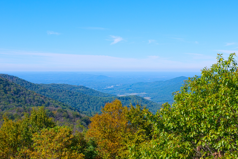 Barn Owl Real Estate North GA Homes