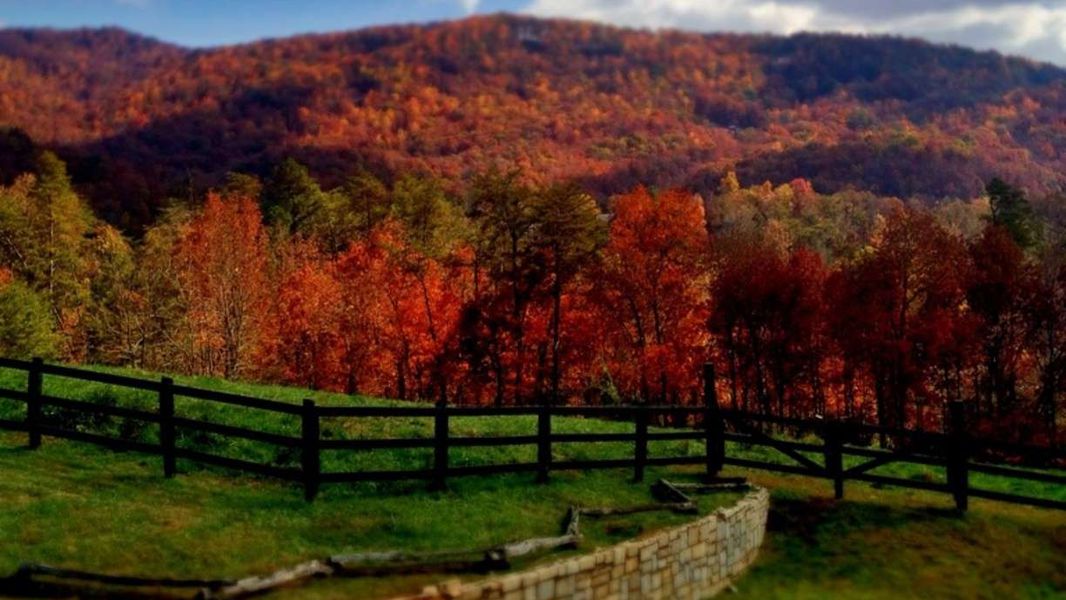 Mineral Bluff, GA Guide Western NC & North GA Mountain Homes