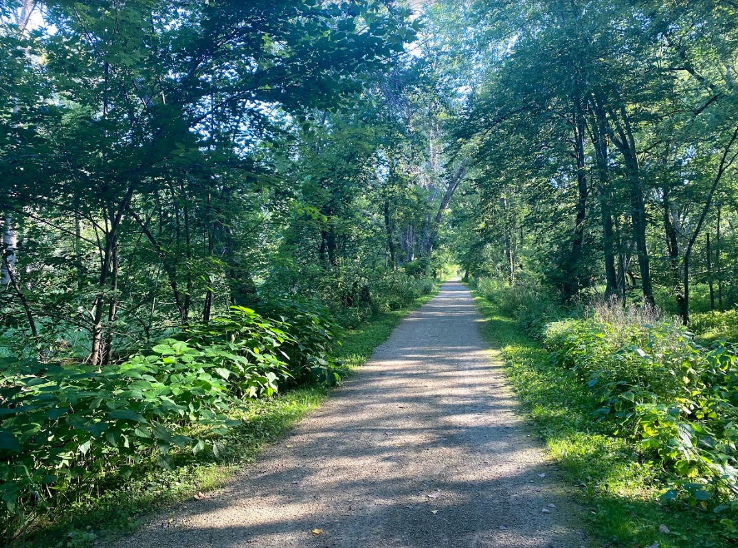 Cambridge, Wisconsin Community Spotlight Cambridge, WI Real Estate