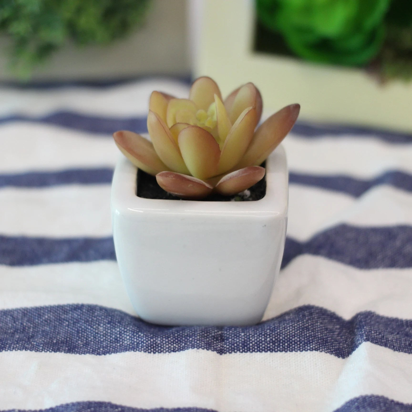 مصادر شركات تصنيع داخلي الغراس الأواني الزخرفية وداخلي