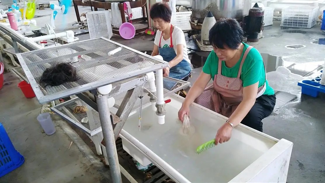 Qingdao Haiyi Hair Products Co., Ltd.