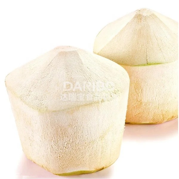 Großhandel melonen pflanzen Kaufen Sie die besten melonen