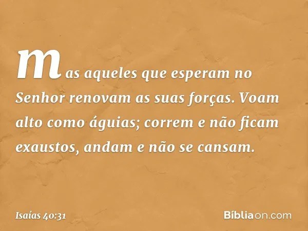 Isaias 40 31 Os Que Esperam No Senhor Biblia