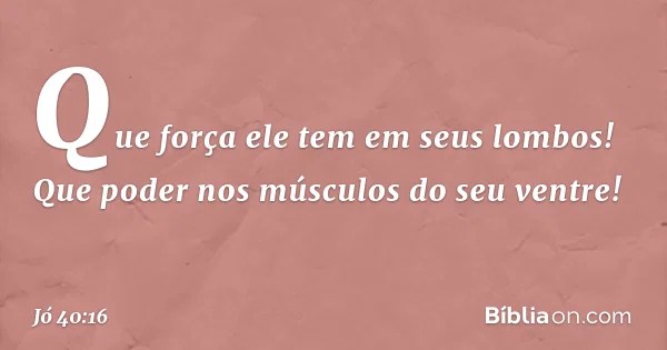 Jó 4016 Bíblia