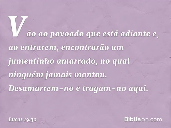 Lucas 19 30 Biblia