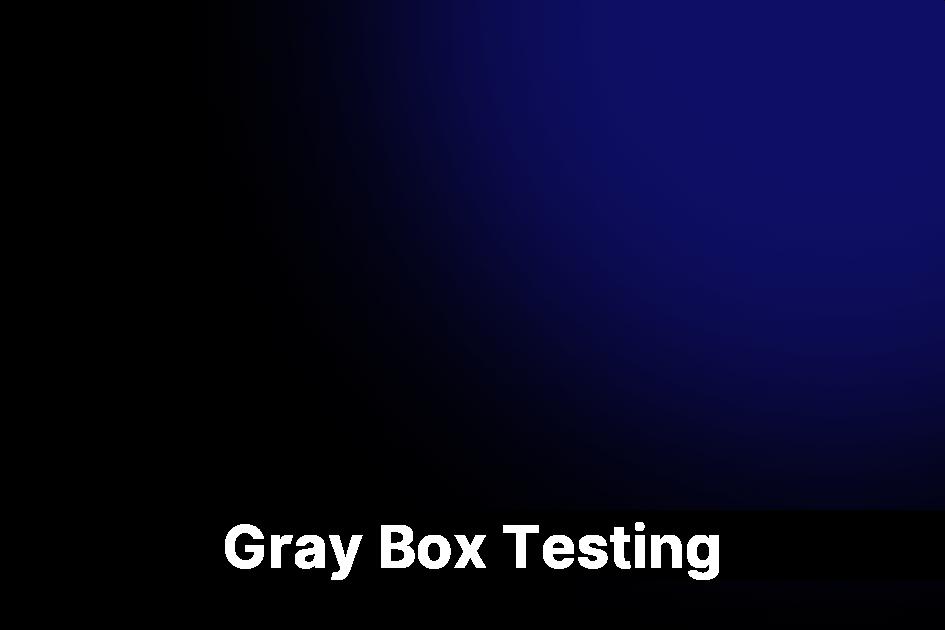 Gray Box Testing