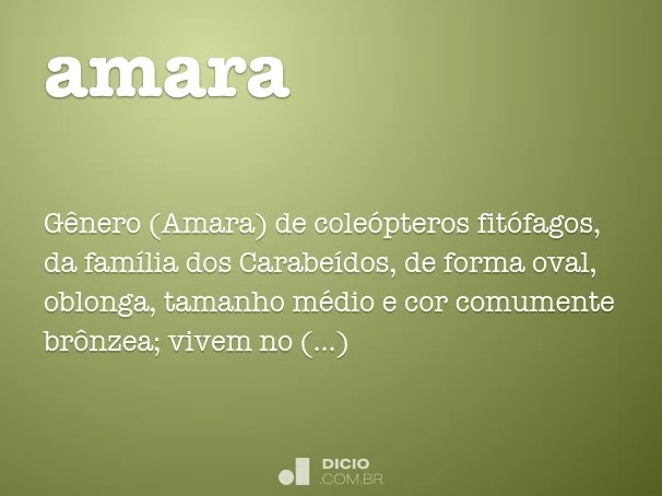 Amara Dicio, Dicionário Online de Português