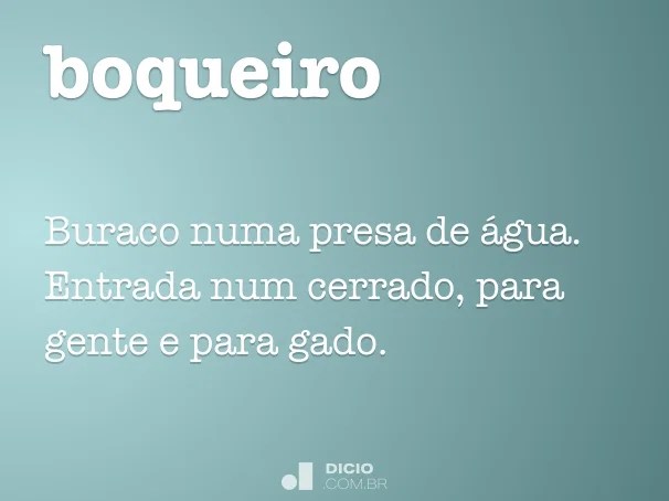 Boqueiro Dicio, Dicionário Online de Português