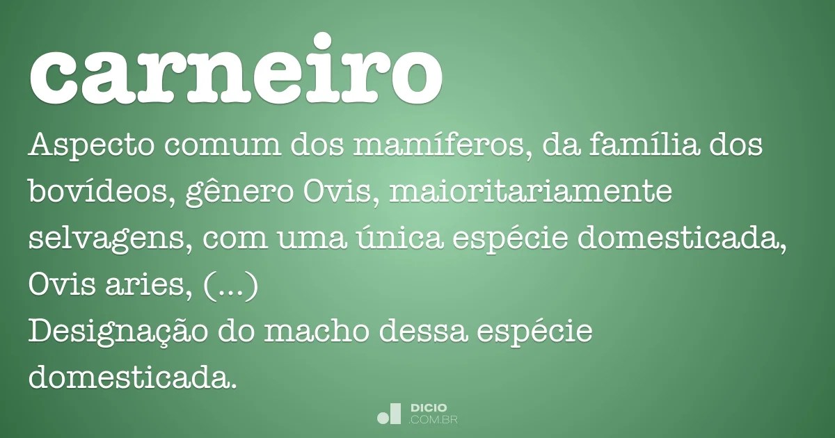 Carneiro Dicio, Dicionário Online de Português