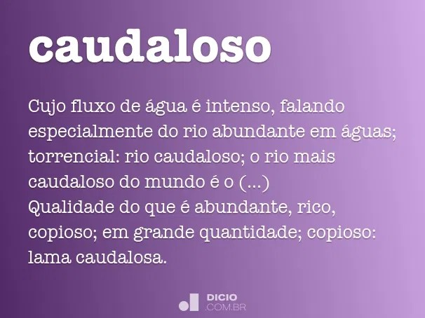 Caudaloso Dicio, DicionÃ¡rio Online de PortuguÃªs