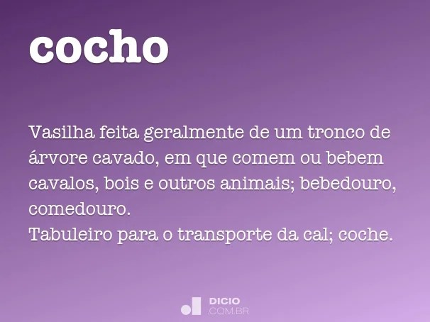 Cocho Dicio, Dicionário Online de Português