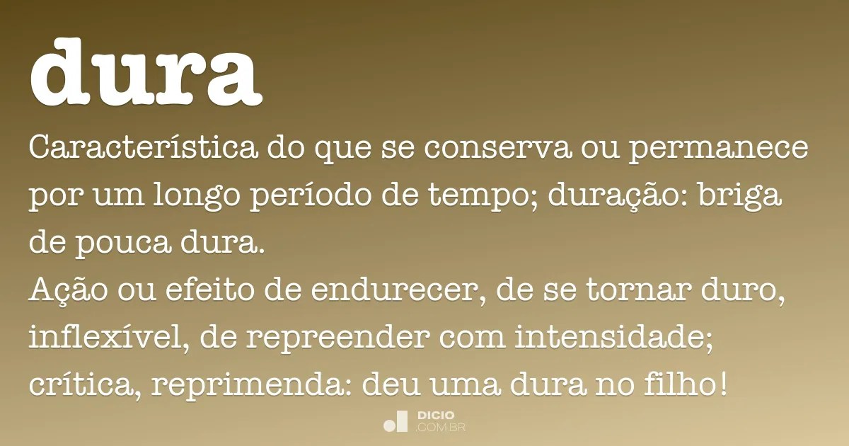 Dura Dicio, Dicionário Online de Português
