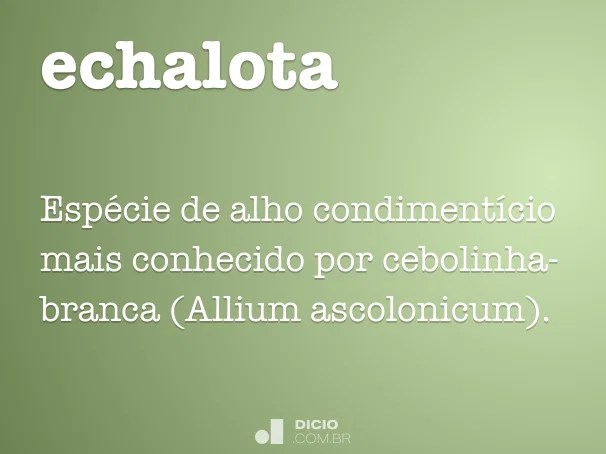 Echalota Dicio, Dicionário Online de Português