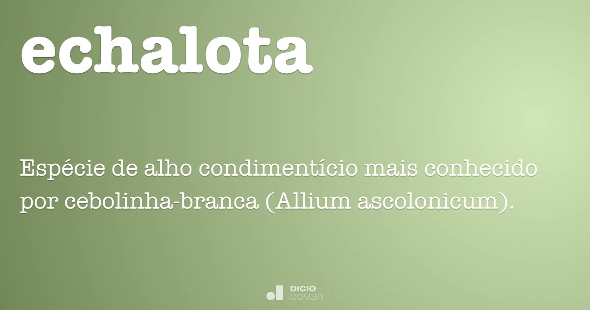 Echalota Dicio, Dicionário Online de Português