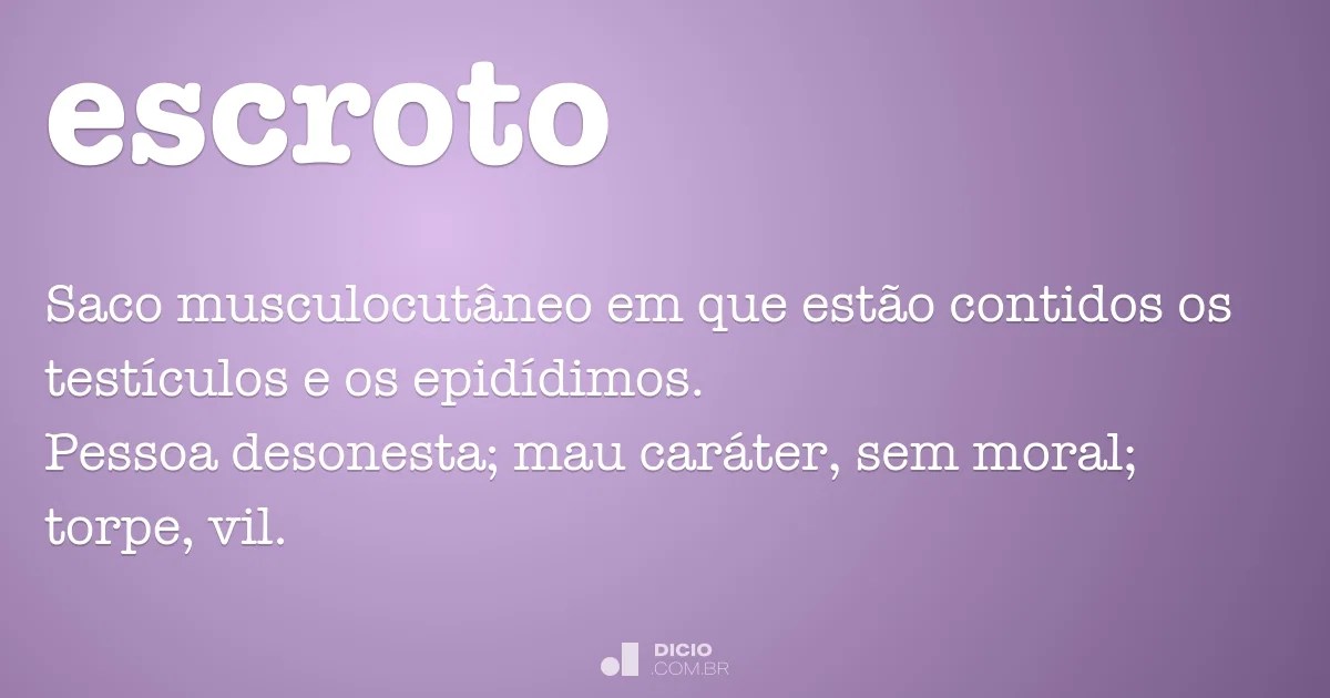 Escroto Dicio, Dicionário Online de Português