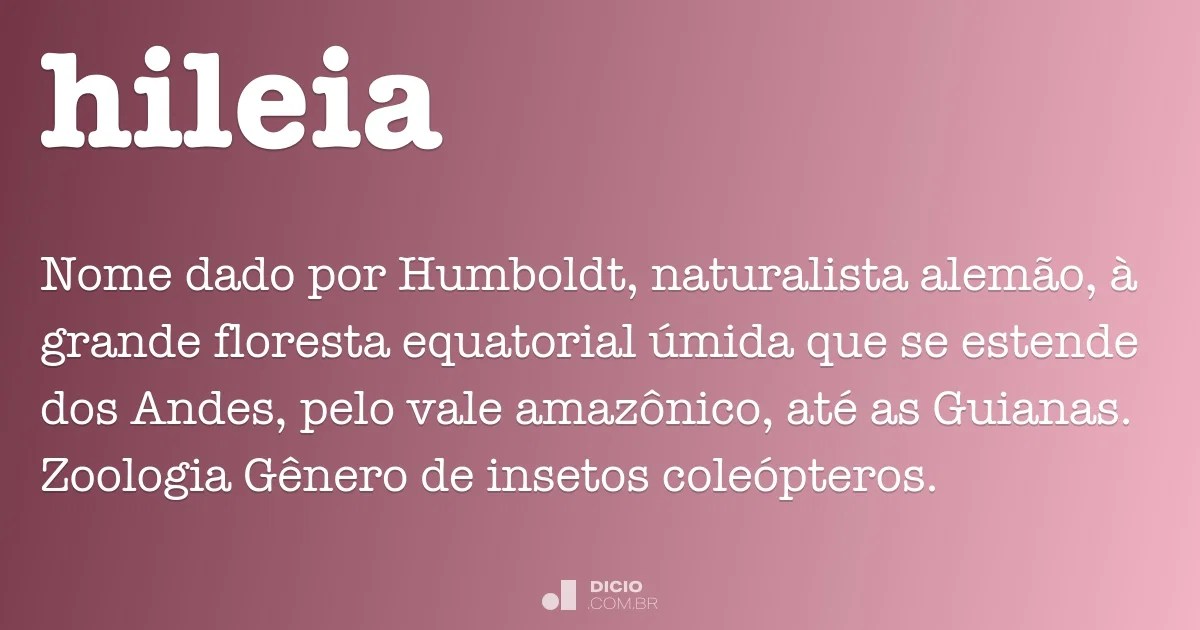 Hileia Dicio, Dicionário Online de Português