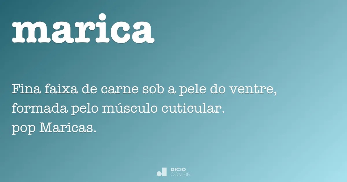 Marica Dicio, Dicionário Online de Português