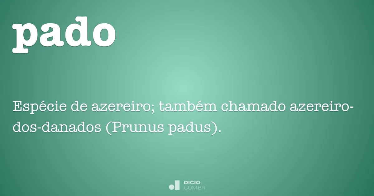 Pado Dicio, Dicionário Online de Português