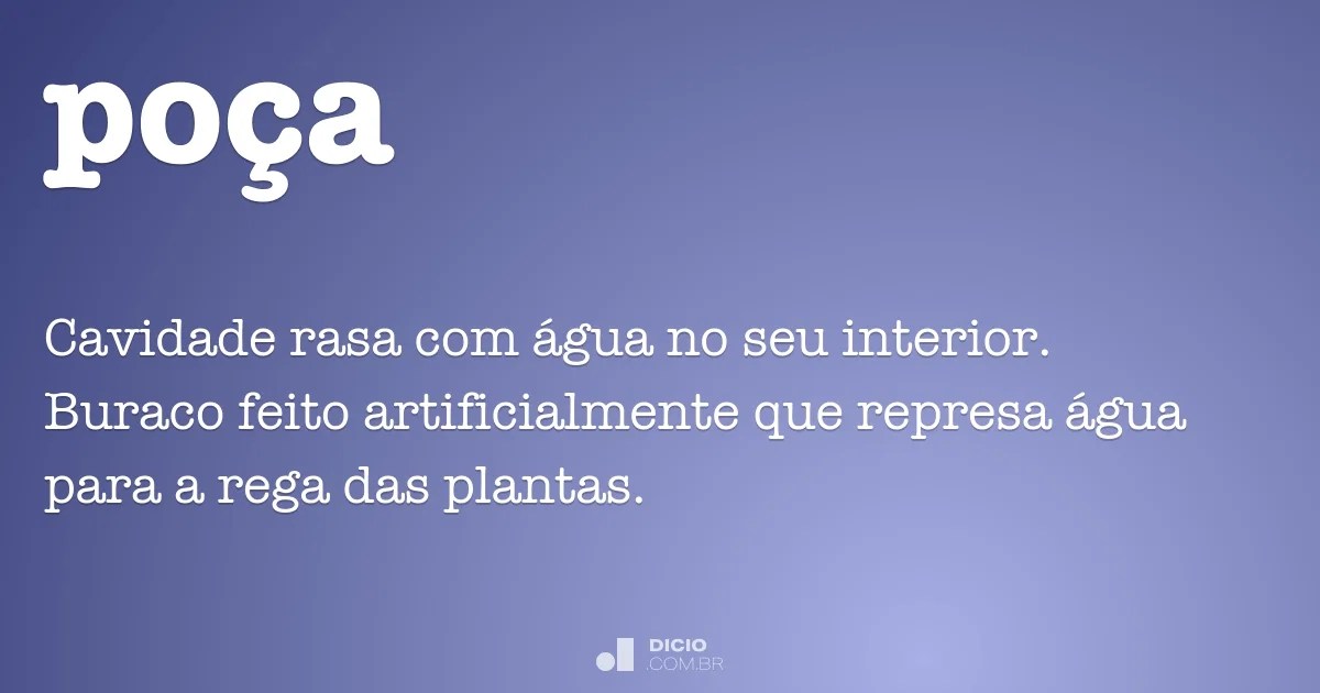 Poça Dicio, Dicionário Online de Português