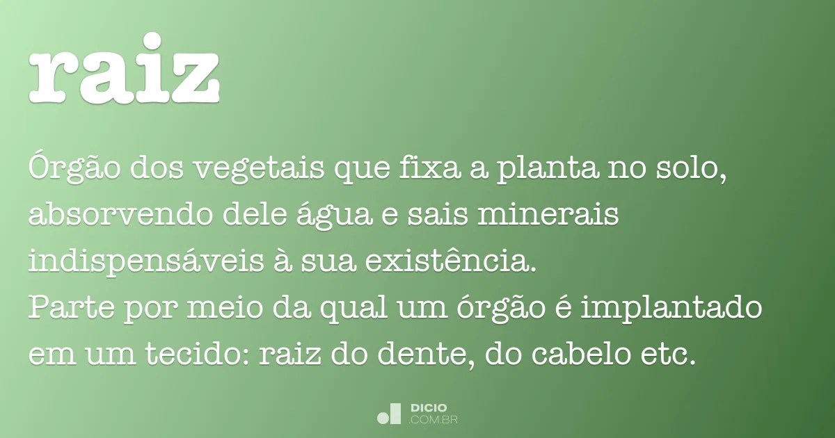 Raiz Dicio, Dicionário Online de Português