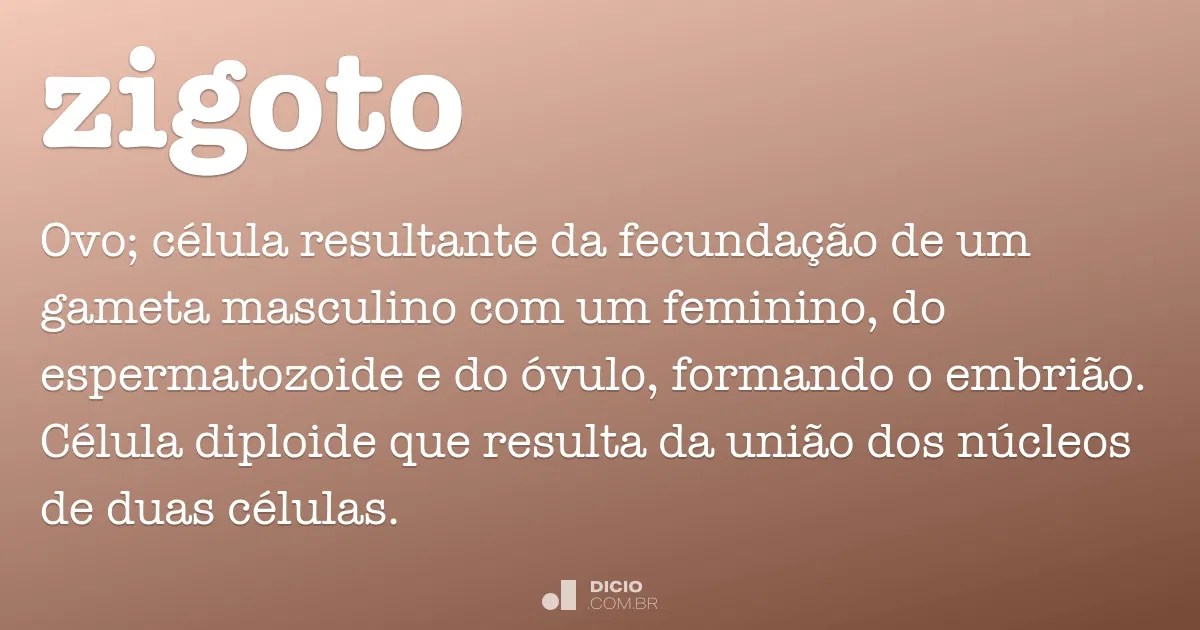 Zigoto Dicio, Dicionário Online de Português