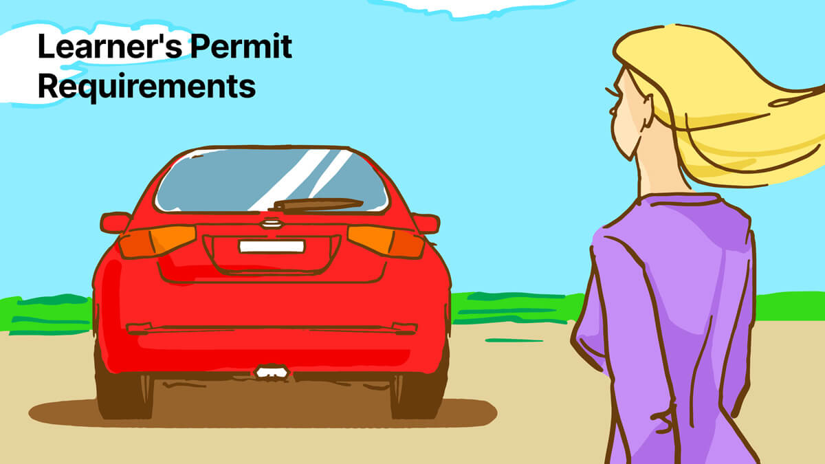 Driver's Permit (Learner's Permit) Requirements The 2022 Guide