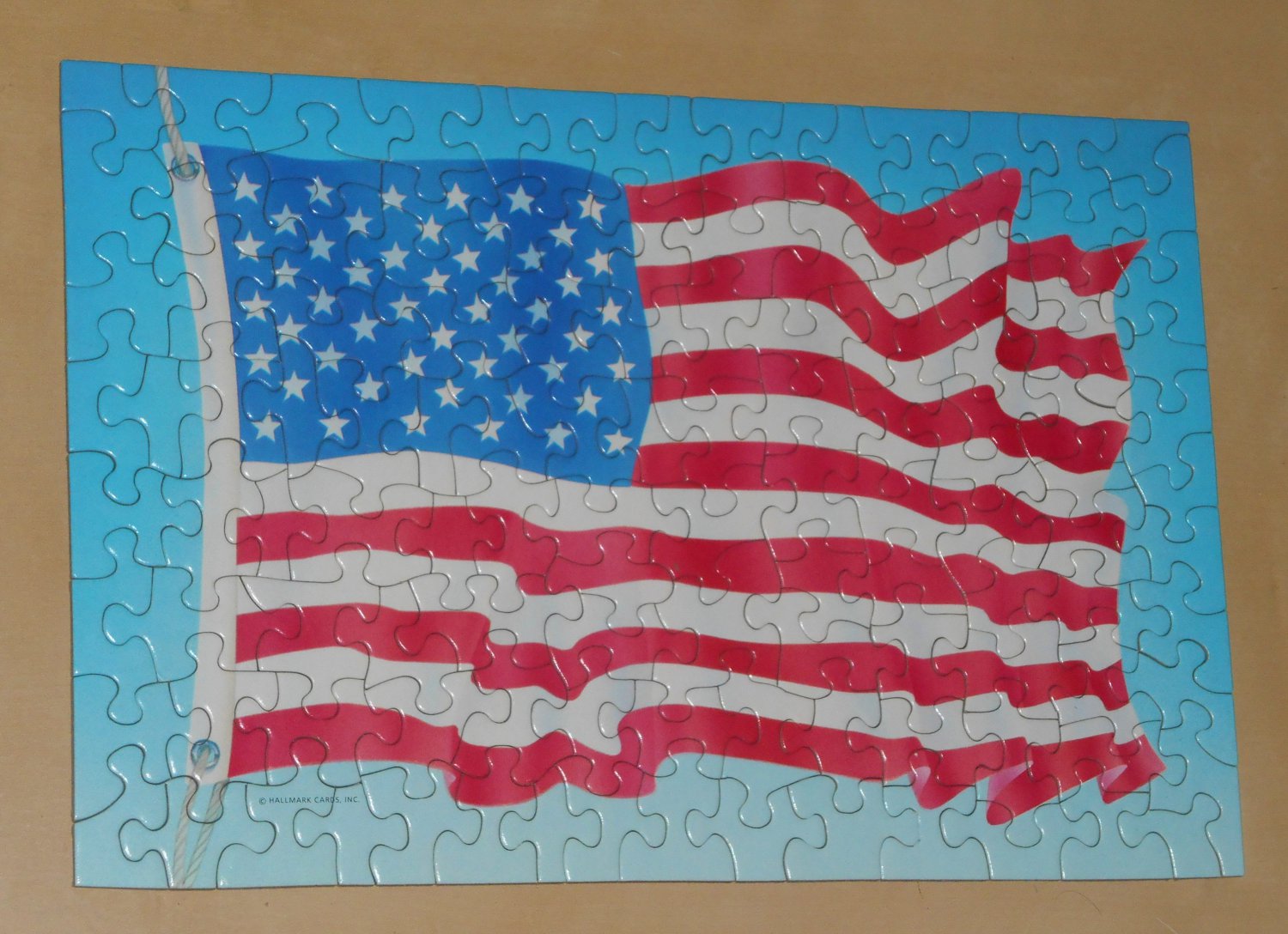 Stars and Stripes 100 Piece Jigsaw Puzzle US American Flag Springbok