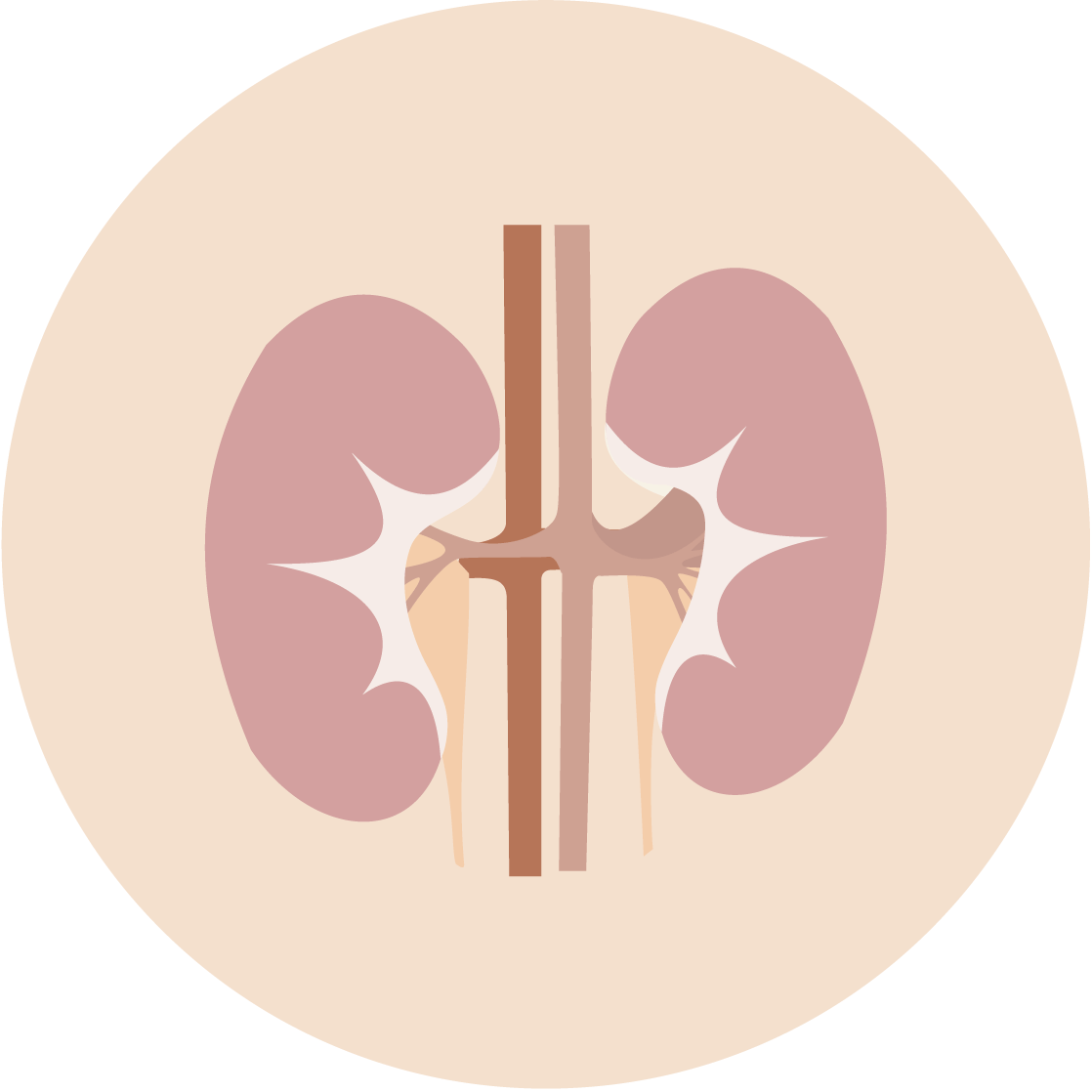 Cranberry Concentrate for sperm and egg health, UTI Relief Femometer