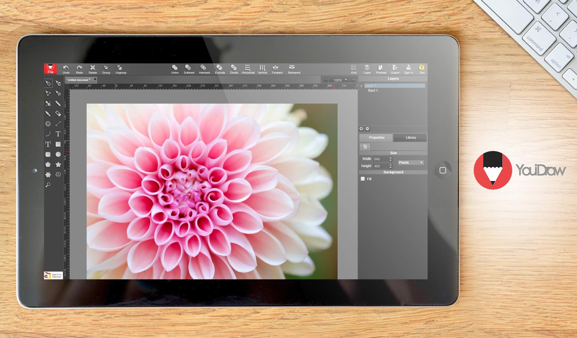 20 Best Drawing Software for 2024