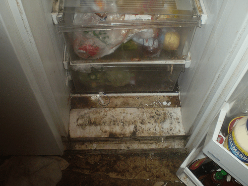 Rotten Office Fridge Cleanup Sends 7 To Hospital - Slashdot
