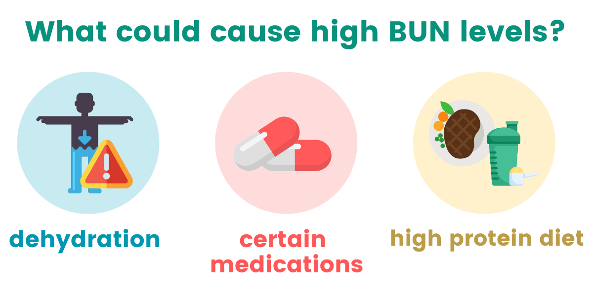 Reading a Kidney Function Test What do my results mean?