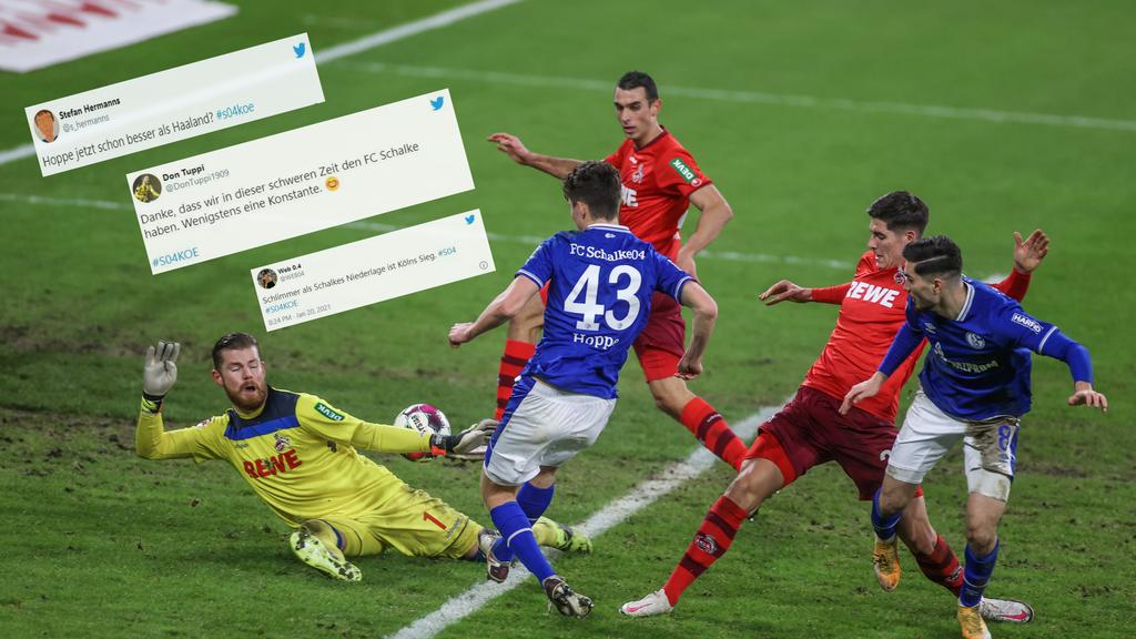 FC Schalke 04 verliert gegen 1. FC Köln Die NetzReaktionen