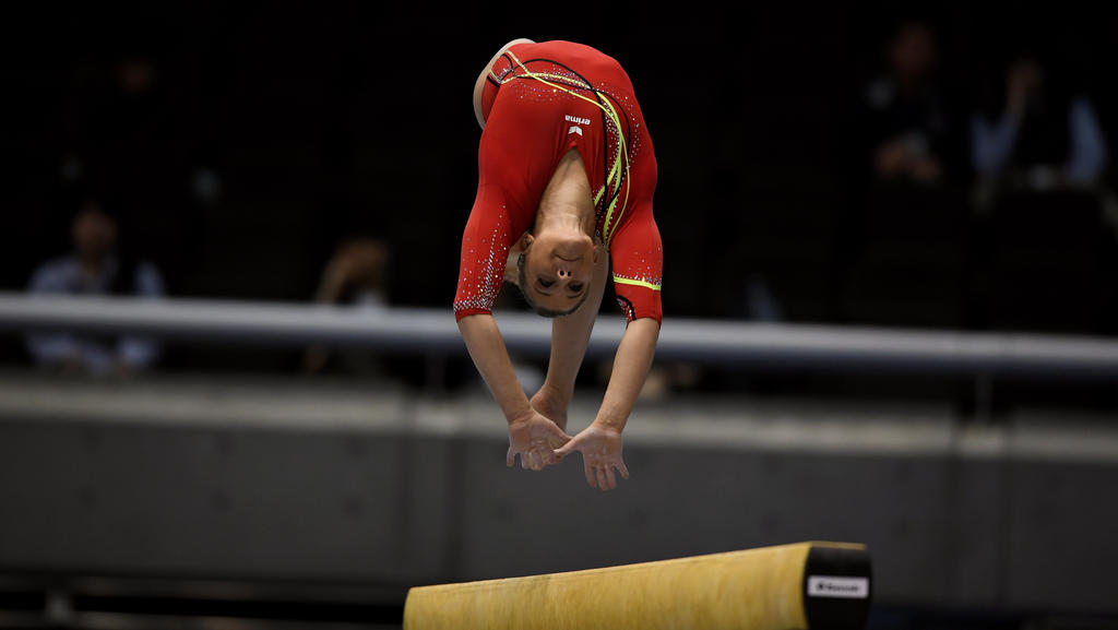 20. Titel TurnStar Seitz egalisiert UraltRekord