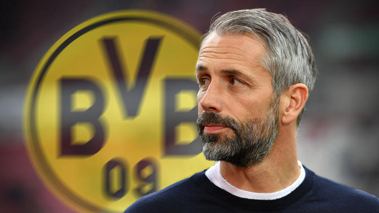 Gladbach RoseGehalt beim BVB enthüllt