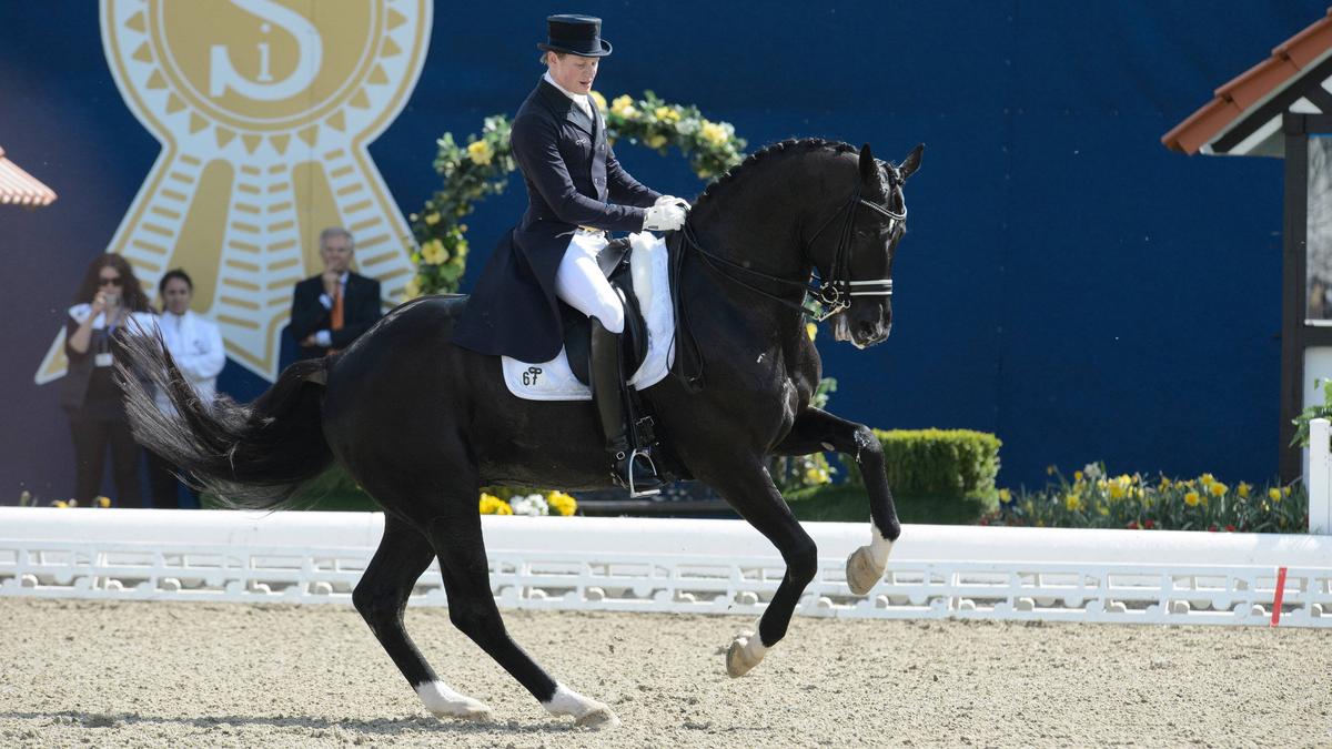 Reitsport Wunderhengst Totilas ist tot Eine verschenkte Karriere