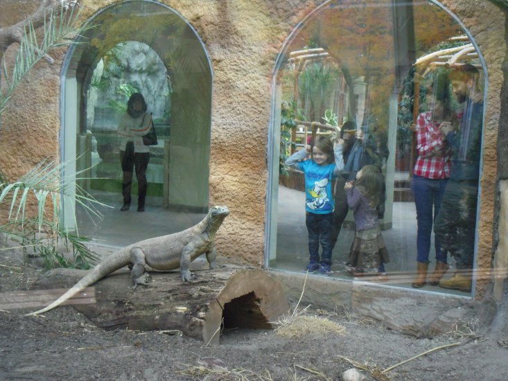 The Old Zoo Activities & Leisure Poznan