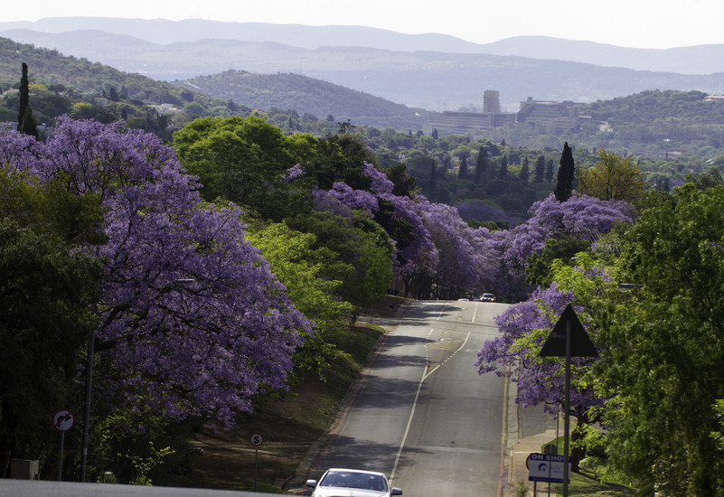 Visiting Pretoria, South Africa's capital city
