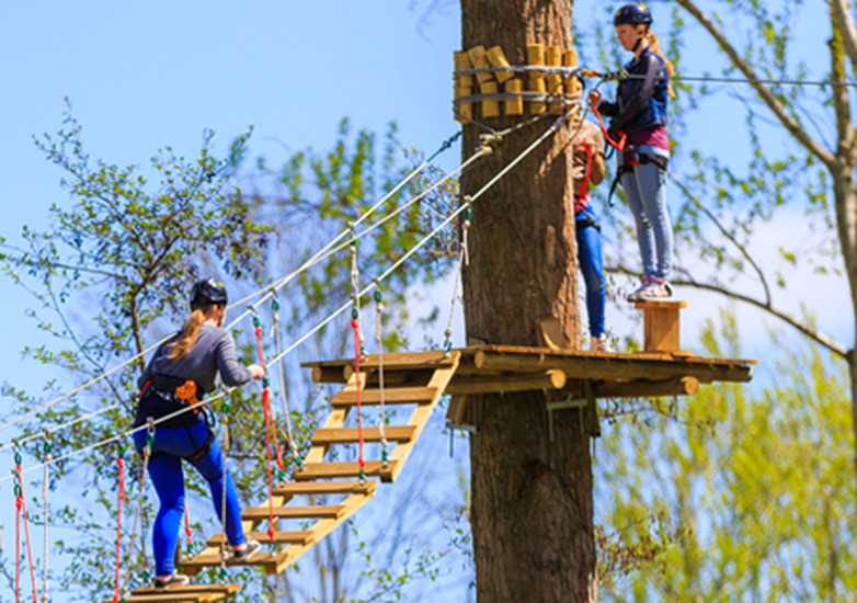 Fun Forest Climbing Park Things to do in Amsterdam Amsterdam
