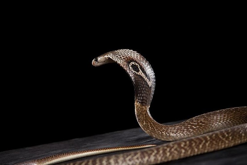 Mini Zoo Leisure Pärnu