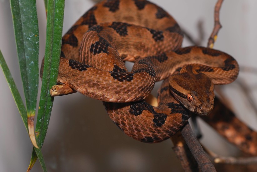 Mini Zoo Leisure Pärnu