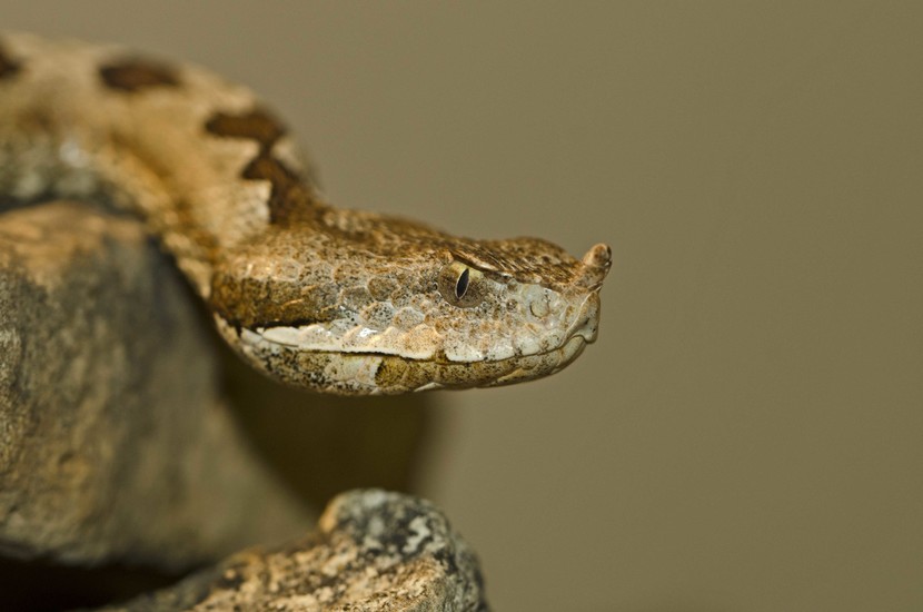 Mini Zoo Leisure Pärnu