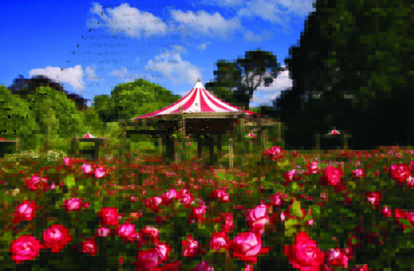 Sir Thomas and Lady Dixon Park What to See Belfast & Northern Ireland