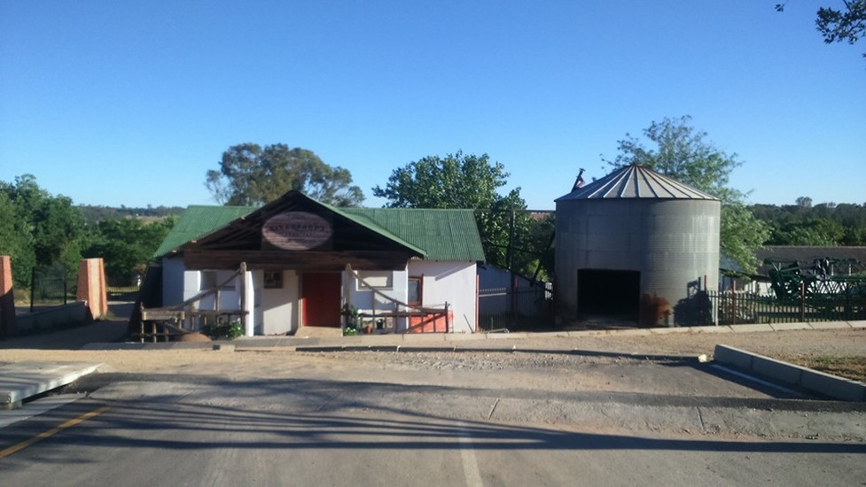 Valentine's Picnic in the Park Johannesburg