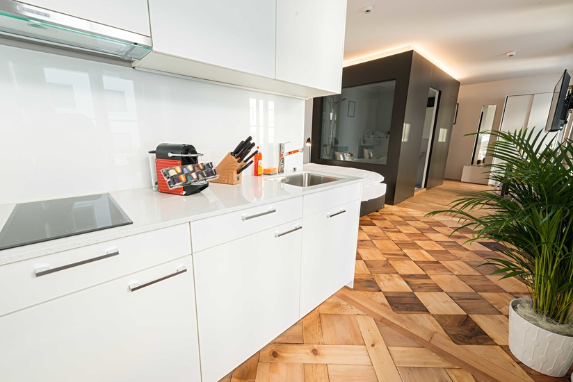 apartment rental lucerne switzerland