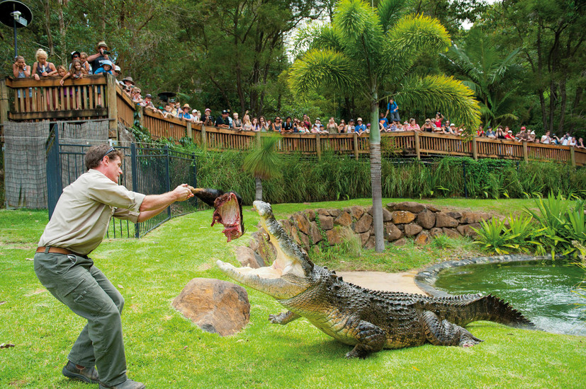 Currumbin Wildlife Sanctuary Sightseeing Gold Coast