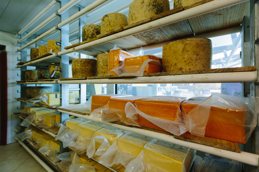 Witches Chase Cheese Tamborine Mountain Gold Coast