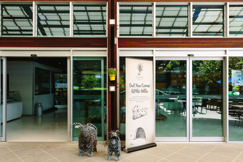 Witches Chase Cheese Tamborine Mountain Gold Coast